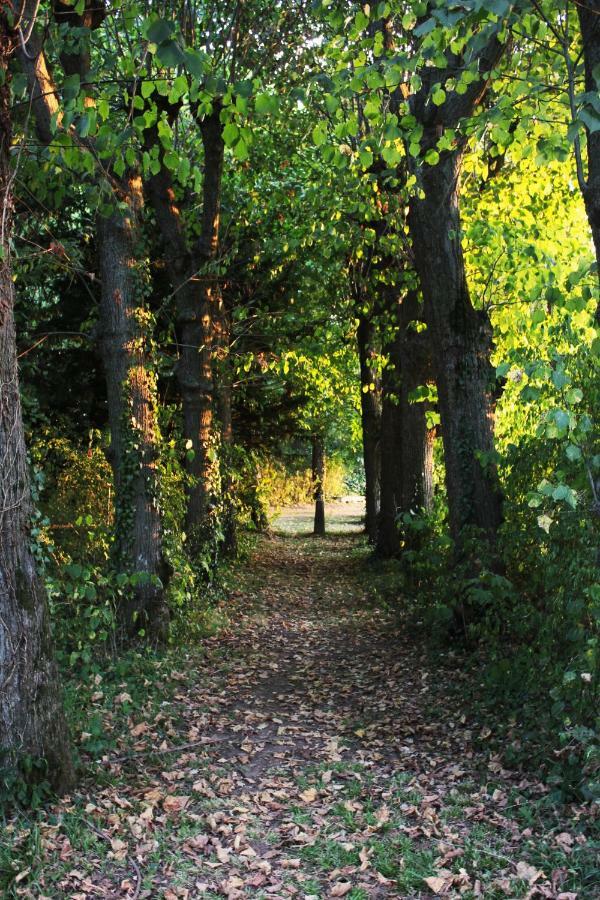 Domaine Des Lilas Saint-Germain-Lembron ภายนอก รูปภาพ